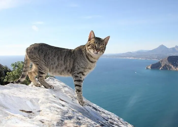 Cronos - Plusholidays Vila